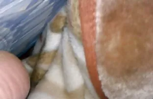 XXX jadi, bisakah kau ambil satu. bokep japan porn