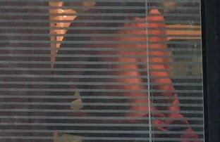 XXX Jana Fox strips and cries 4 bokep jepang selingkuh xxx
